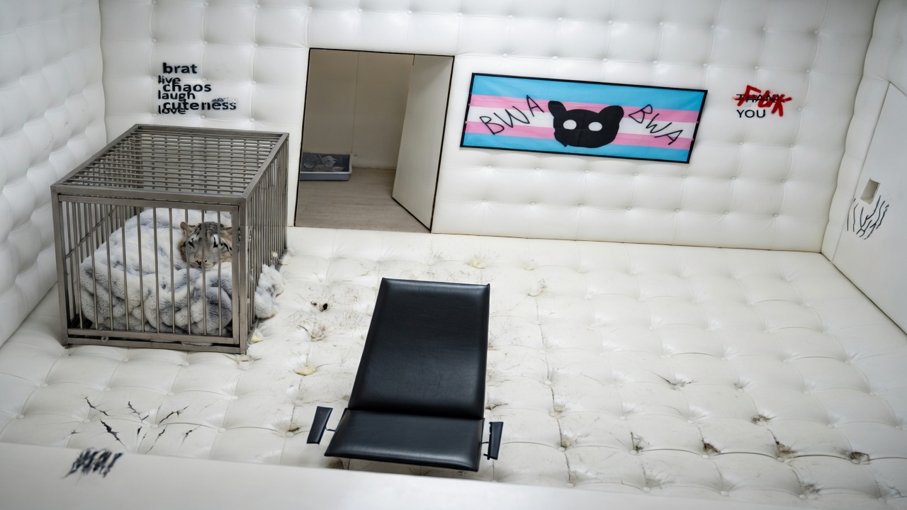 make image more realistic, make a proper cage to be seen and so a snow leopard could sleep in there so maybe a blanket in there and make place next to cage all scratched like cats like to have a place